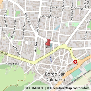 Mappa Via Professor Oliva, 14, 12011 Borgo San Dalmazzo, Cuneo (Piemonte)