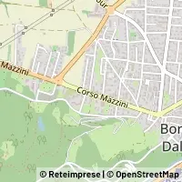 Carte Borgo San Dalmazzo