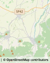 Aziende Agricole Roccaforte Mondovì,12088Cuneo