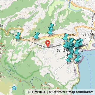 Mappa Via Garibotti, 16038 Santa Margherita Ligure GE, Italia (1.066)