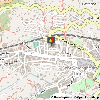 Palestre e Centri Fitness,16035Genova