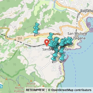 Mappa Via delle Rocche, 16038 Santa Margherita Ligure GE, Italia (0.6205)