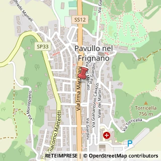 Mappa Via I. Marchiani, 31, 41026 Pavullo nel Frignano, Modena (Emilia Romagna)