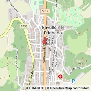 Mappa Via I. Marchiani, 50, 41026 Pavullo nel Frignano, Modena (Emilia Romagna)