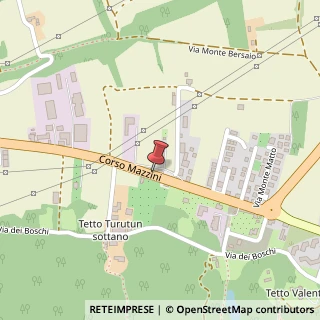 Mappa Corso Mazzini, 154, 12011 Borgo San Dalmazzo, Cuneo (Piemonte)