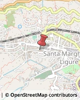 Via Luigi Bozzo, 49,16038Santa Margherita Ligure