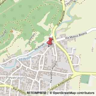 Mappa Via Giorgio Giorgis, 51, 12016 Peveragno, Cuneo (Piemonte)