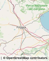 Alimentari Foggia,71100Foggia