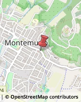 Via Montalese, 461,59100Montemurlo