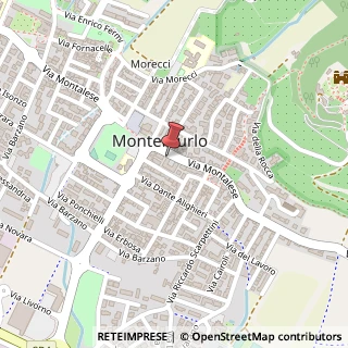 Mappa Via Montalese, 507, 59013 Montemurlo, Prato (Toscana)