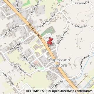 Mappa Via Sarzanese, 209, 55041 Camaiore, Lucca (Toscana)