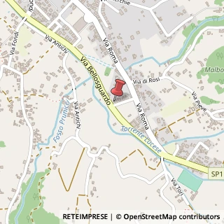 Mappa Via Tommaso Salvini, 27, 55041 Camaiore, Lucca (Toscana)