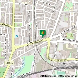 Via Antonio Cammelli, 25,51100Pistoia