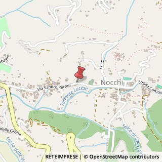 Mappa Frazione nocchi 175, 55041 Camaiore, Lucca (Toscana)