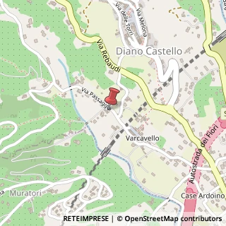 Mappa Via Passaggia, 1B, 18013 Diano Castello, Imperia (Liguria)