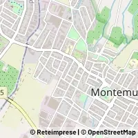 Map Montemurlo