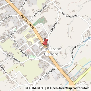 Mappa Via Sarzanese, 262, 55041 Altopascio, Lucca (Toscana)