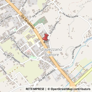 Mappa Via Sarzanese, 189, 55041 Camaiore, Lucca (Toscana)