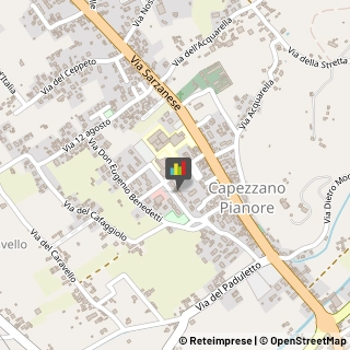 Osteopatia Camaiore,55041Lucca