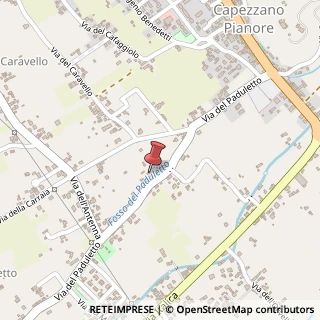 Mappa Via del Paduletto, 298C, 55041 Camaiore, Lucca (Toscana)
