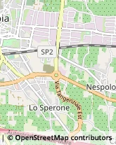 Asili Nido Pistoia,51100Pistoia