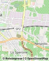 Mercerie Pistoia,51100Pistoia