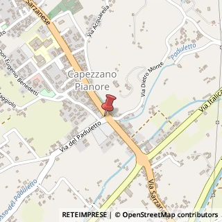 Mappa Via Sarzanese, 114, 55041 Camaiore, Lucca (Toscana)