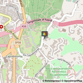 Psicoanalisi - Studi e Centri Napoli,80131Napoli