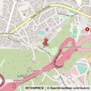 Mappa Viale Poggio di Capodimonte, 53, 80131 Napoli, Napoli (Campania)