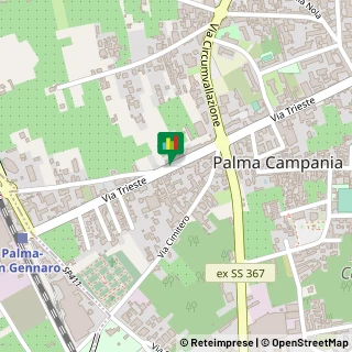 Via Trieste, 237,80036Palma Campania