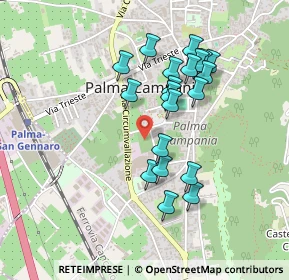 Mappa Via Frauleto, 80036 Palma Campania NA, Italia (0.439)