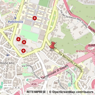 Mappa Via Bernardo Cavallino, 89, 80131 Napoli, Napoli (Campania)