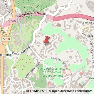 Mappa Parco villa teresa a capodimonte, 80131 Napoli, Napoli (Campania)