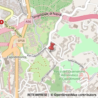 Mappa Via San Antonio a Capodimonte, 46, 80131 Napoli, Napoli (Campania)