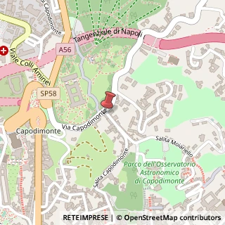 Mappa Via San Antonio a Capodimonte, 19, 80131 Arzano, Napoli (Campania)