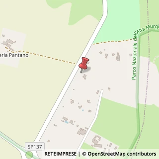 Mappa Strada Prov. Per Corato 137, km 4.800, 70024 Gravina in Puglia, Bari (Puglia)