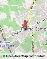 Via Trieste, 237,80036Palma Campania