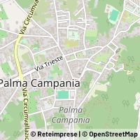 Map Palma Campania