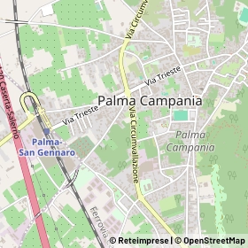 Mappa 80036