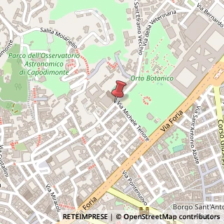 Mappa Via delpino federico 1, 80137 Napoli, Napoli (Campania)