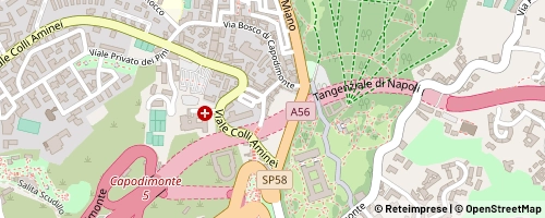 Mappa Napoli