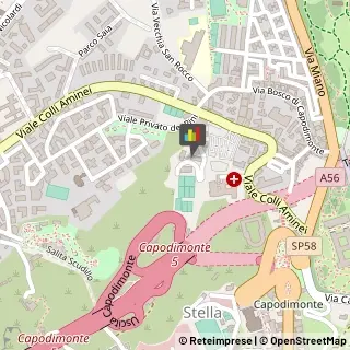 Brokers e Agenti di Assicurazione,80131Napoli