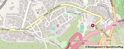 Mappa Napoli