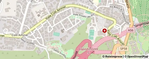 Mappa Napoli