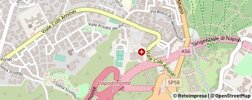 Mappa Napoli