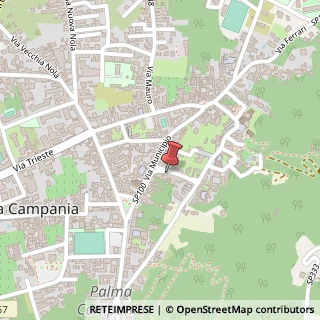 Mappa Salita Belvedere, 51, 80036 Palma Campania, Napoli (Campania)