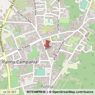 Mappa Via roma 231, 80036 Palma Campania, Napoli (Campania)