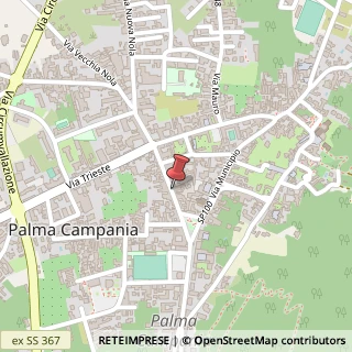 Mappa Via Roma, 211, 80036 Palma Campania, Napoli (Campania)