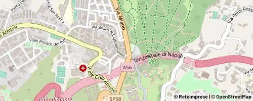Mappa Napoli