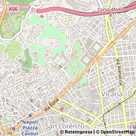 Mappa 80137